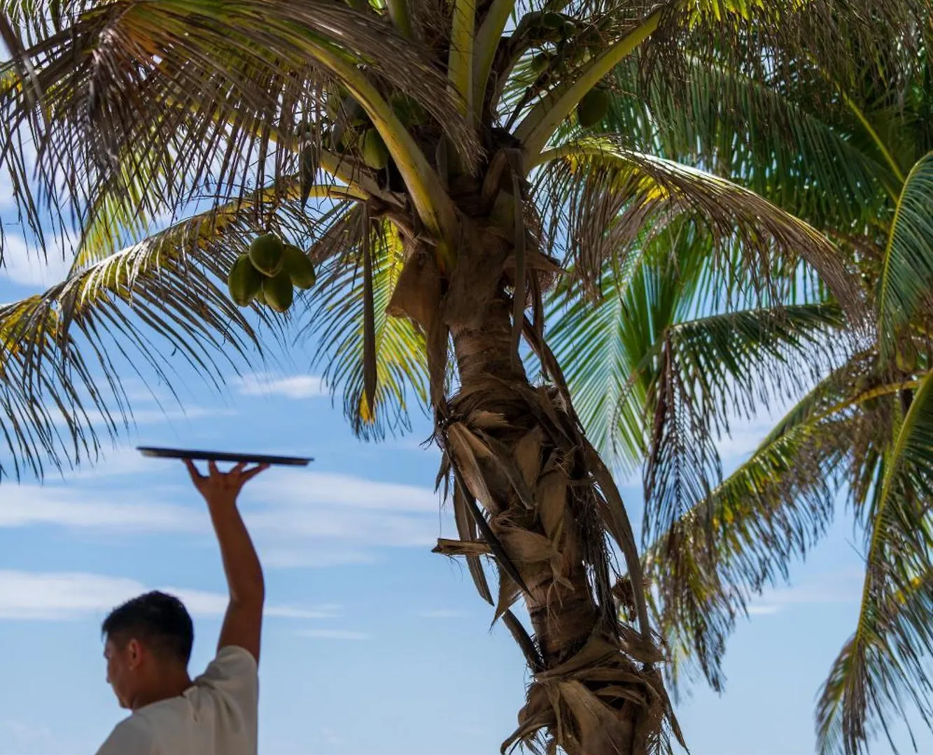 Sana Tulum Beachfront Boutique Hotel